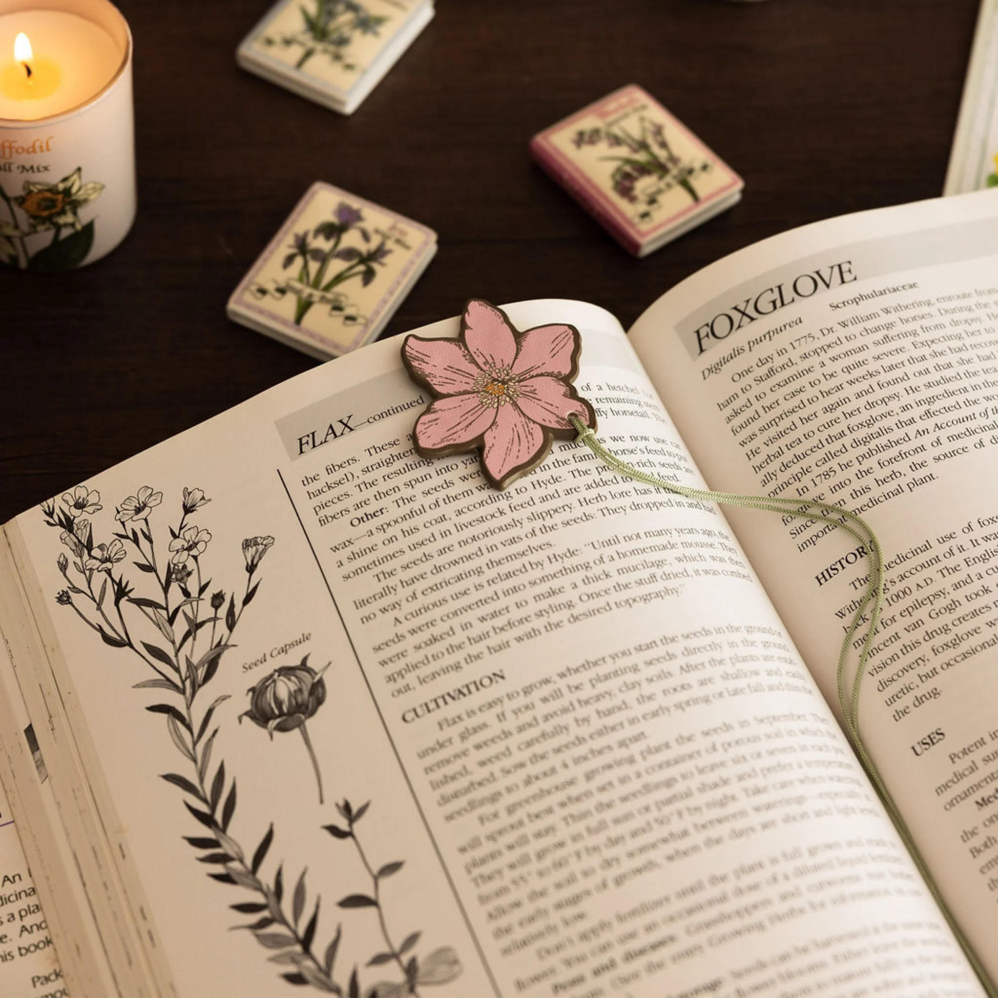 Bookmark Set of 2, Almanac of Wildflowers - Image 4