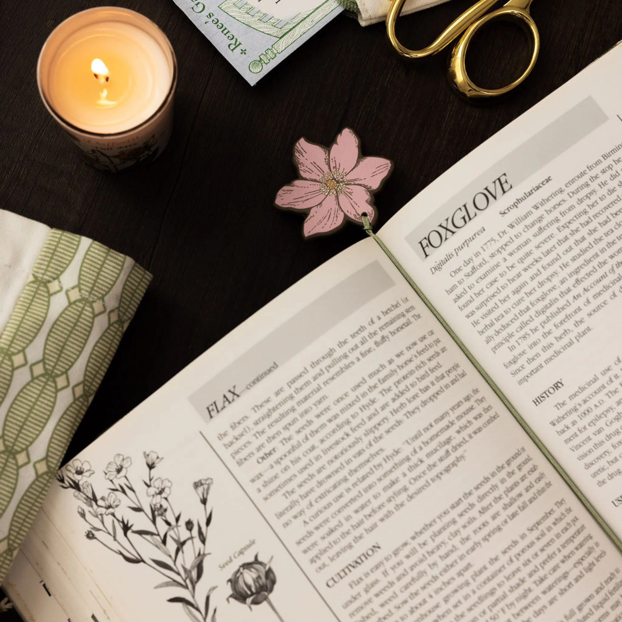 Bookmark Set of 2, Almanac of Wildflowers - Image 5