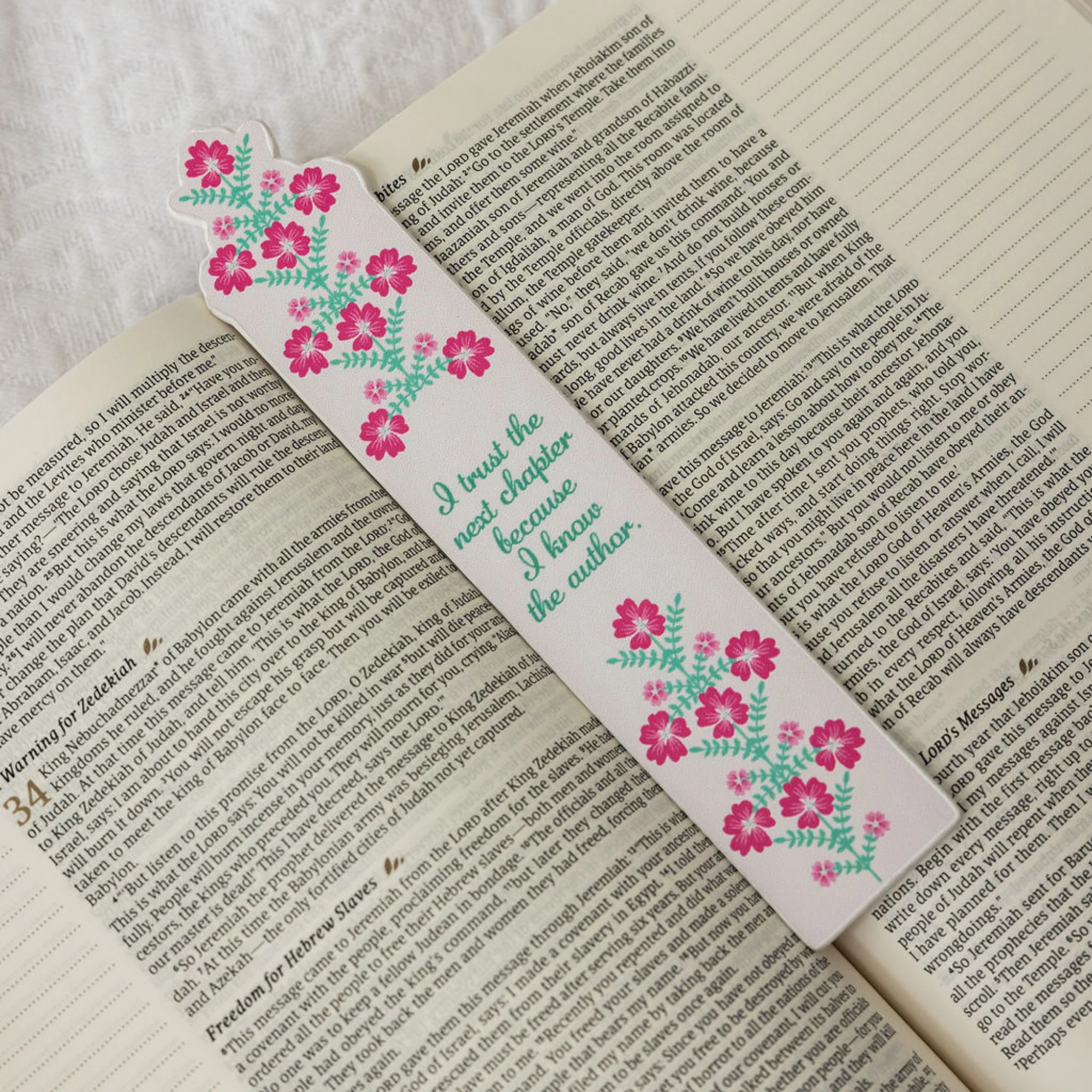 Bookmark, The Next Chapter - Image 3