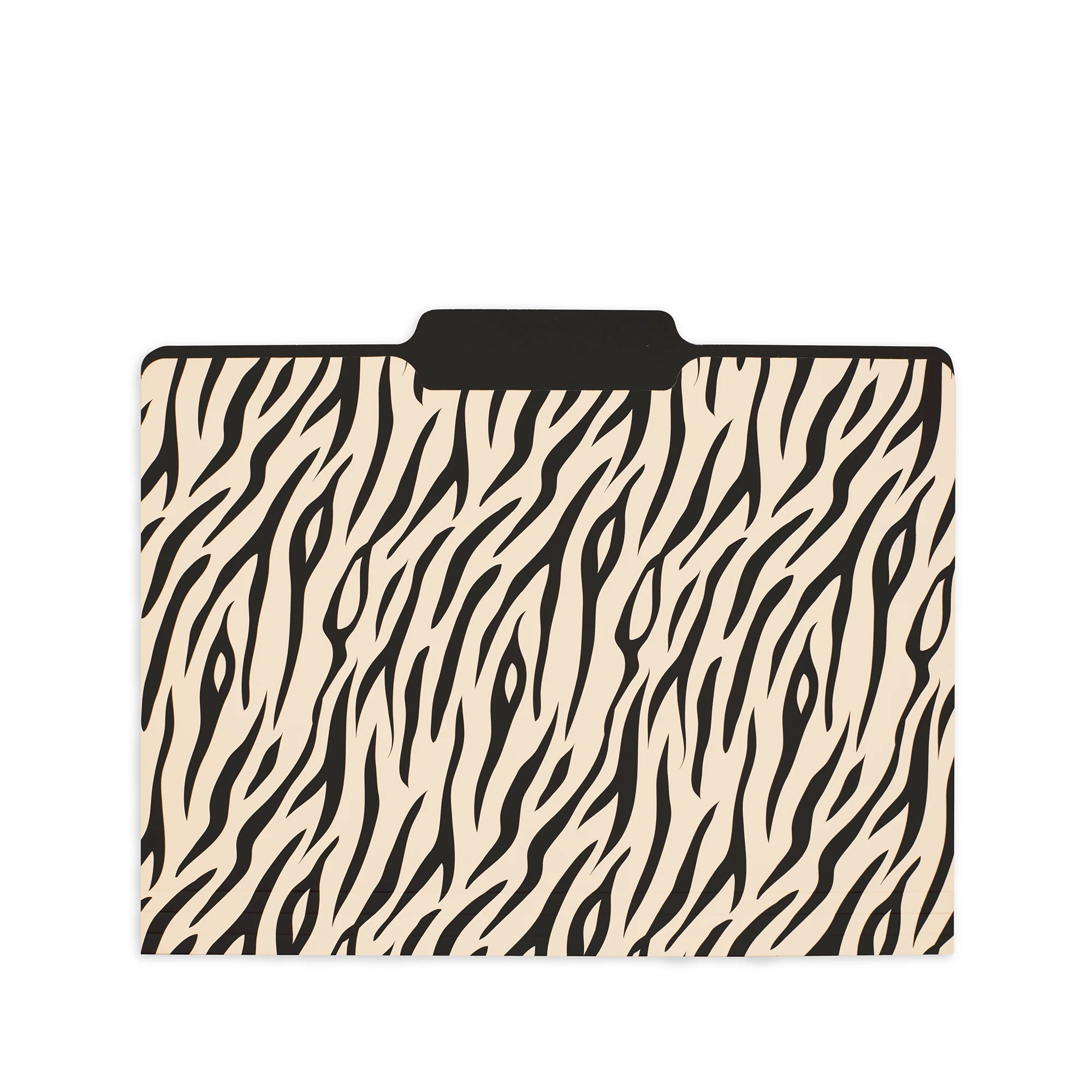 File Folders, Leopard - Image 3