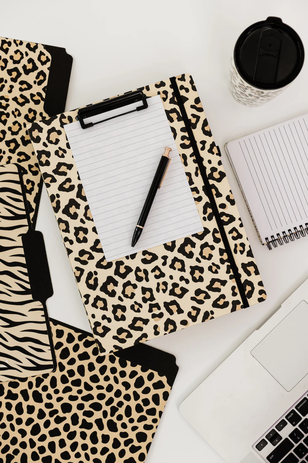 File Folders, Leopard - Image 6