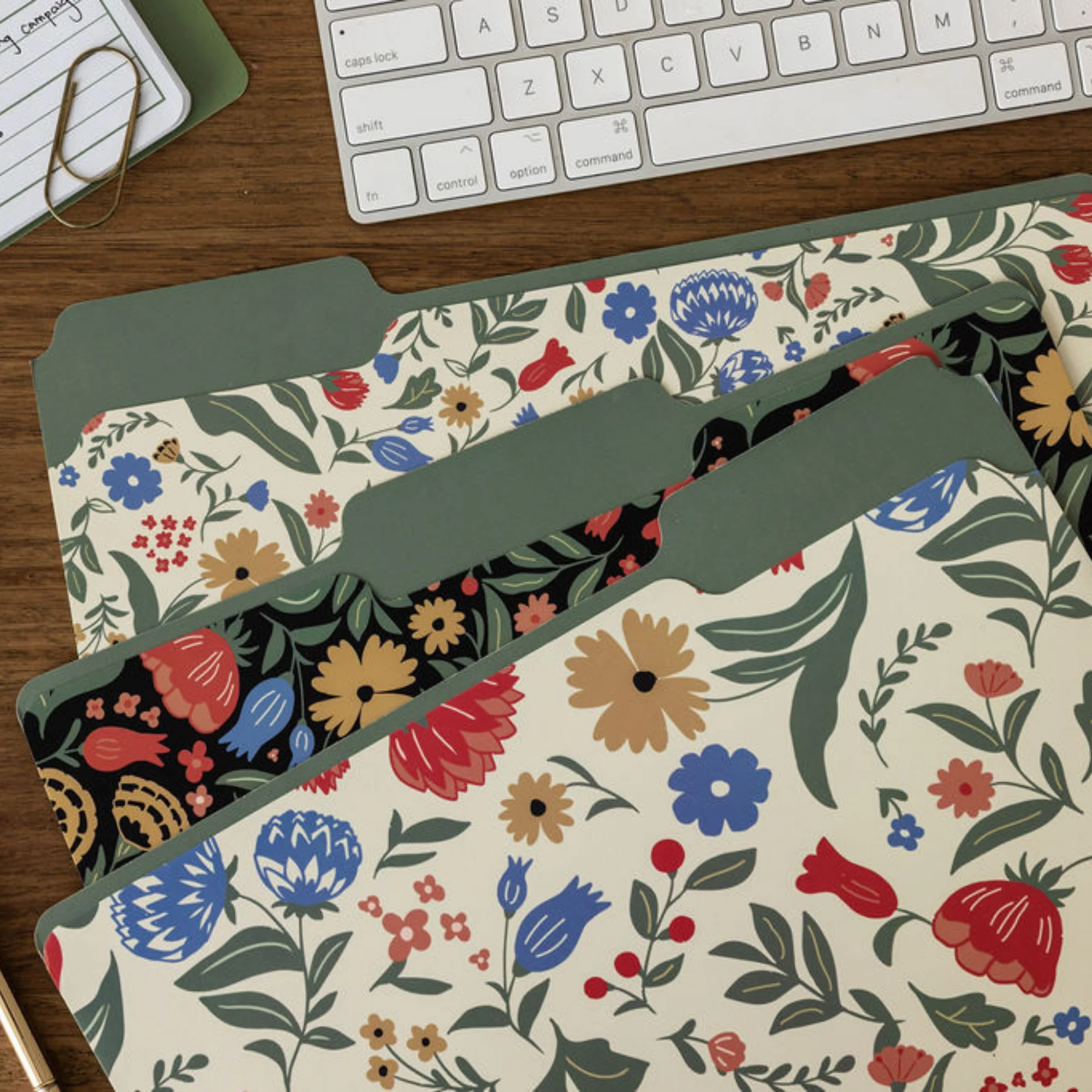 File Folders, Wanderlust - Image 5