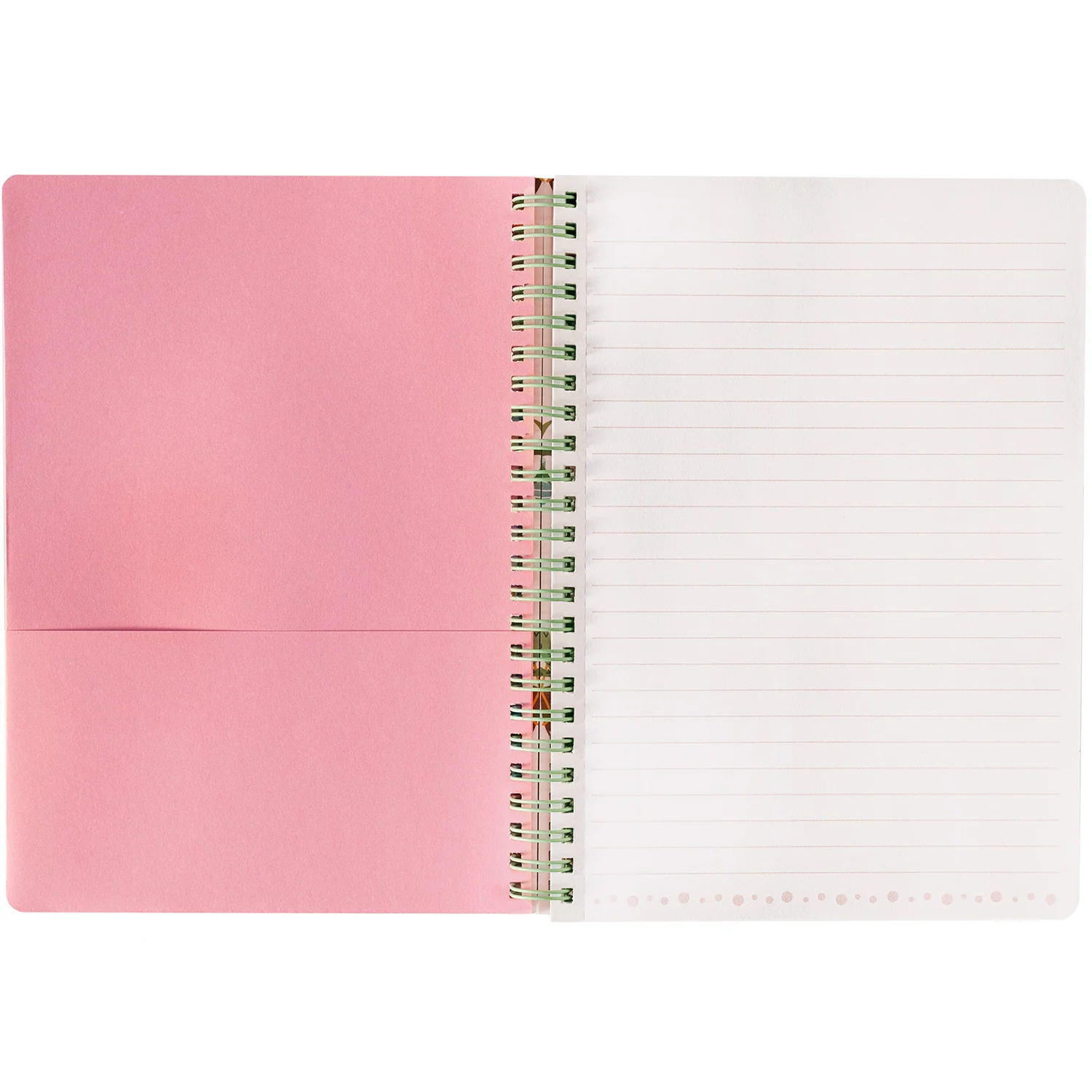 Mini Notebook, Succulents - Image 2