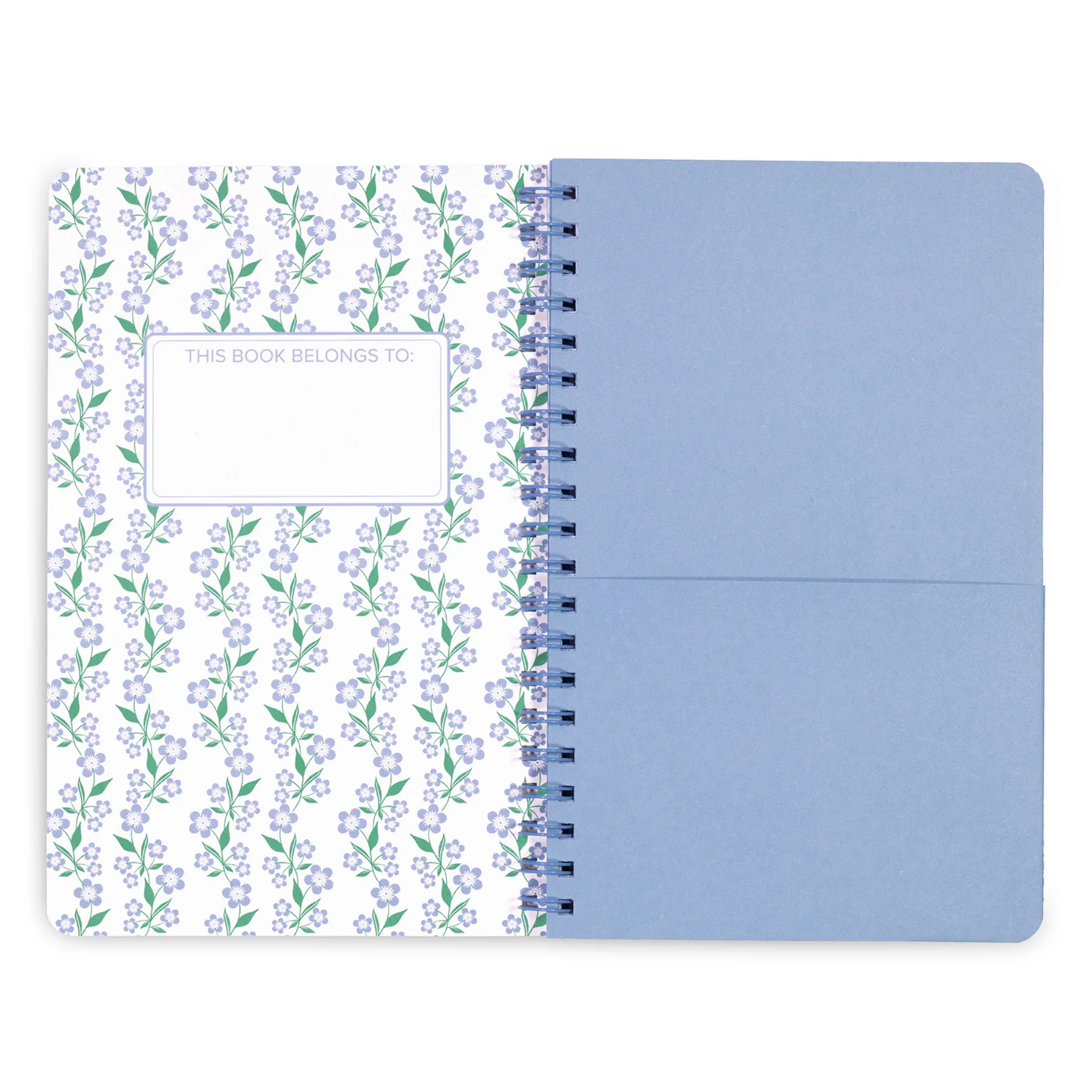 Sermon Notes, Hydrangeas - Image 2