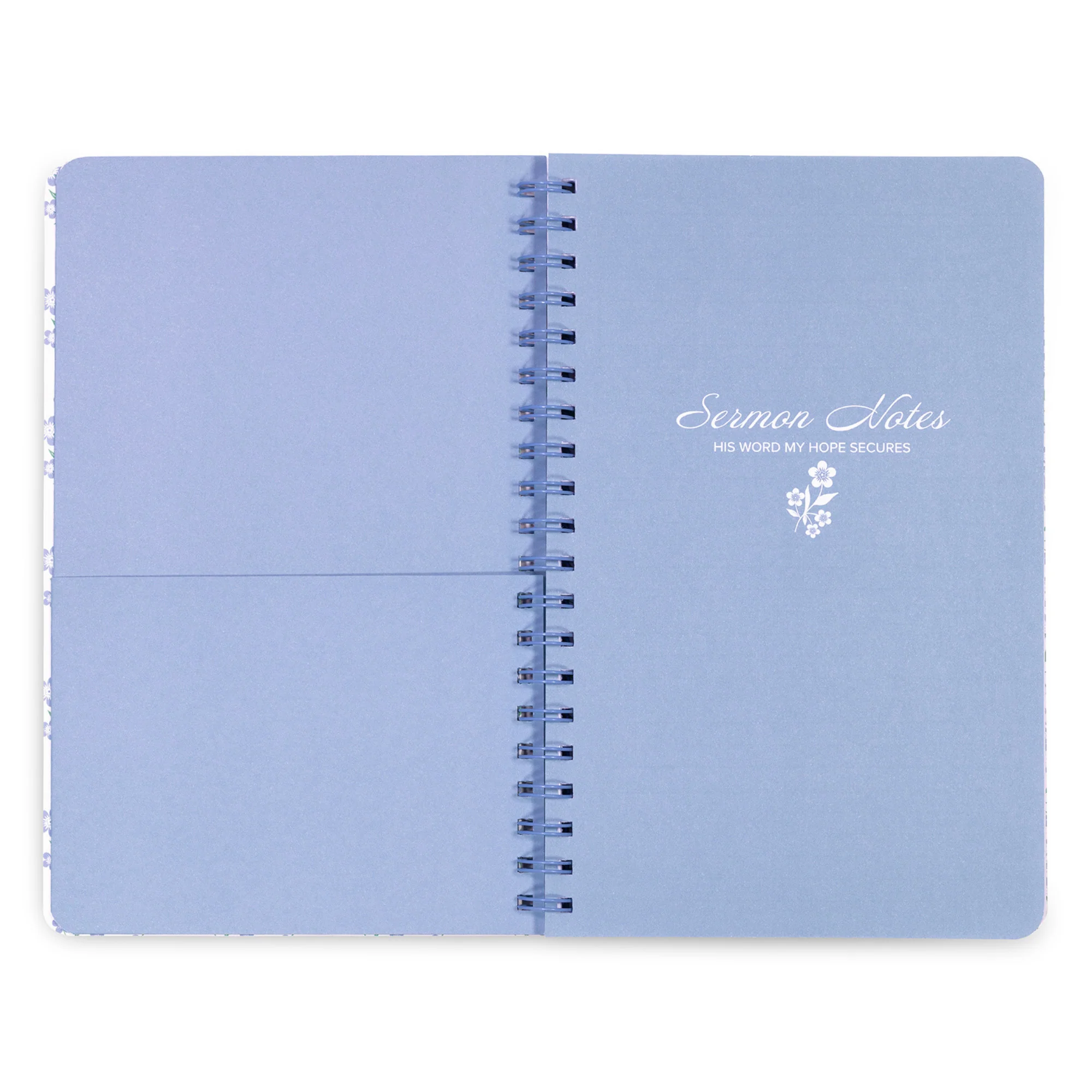 Sermon Notes, Hydrangeas - Image 3