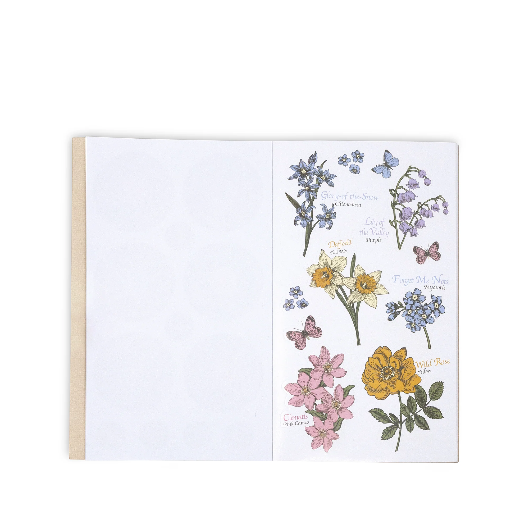 Sticker Book - Assorted - Image 5