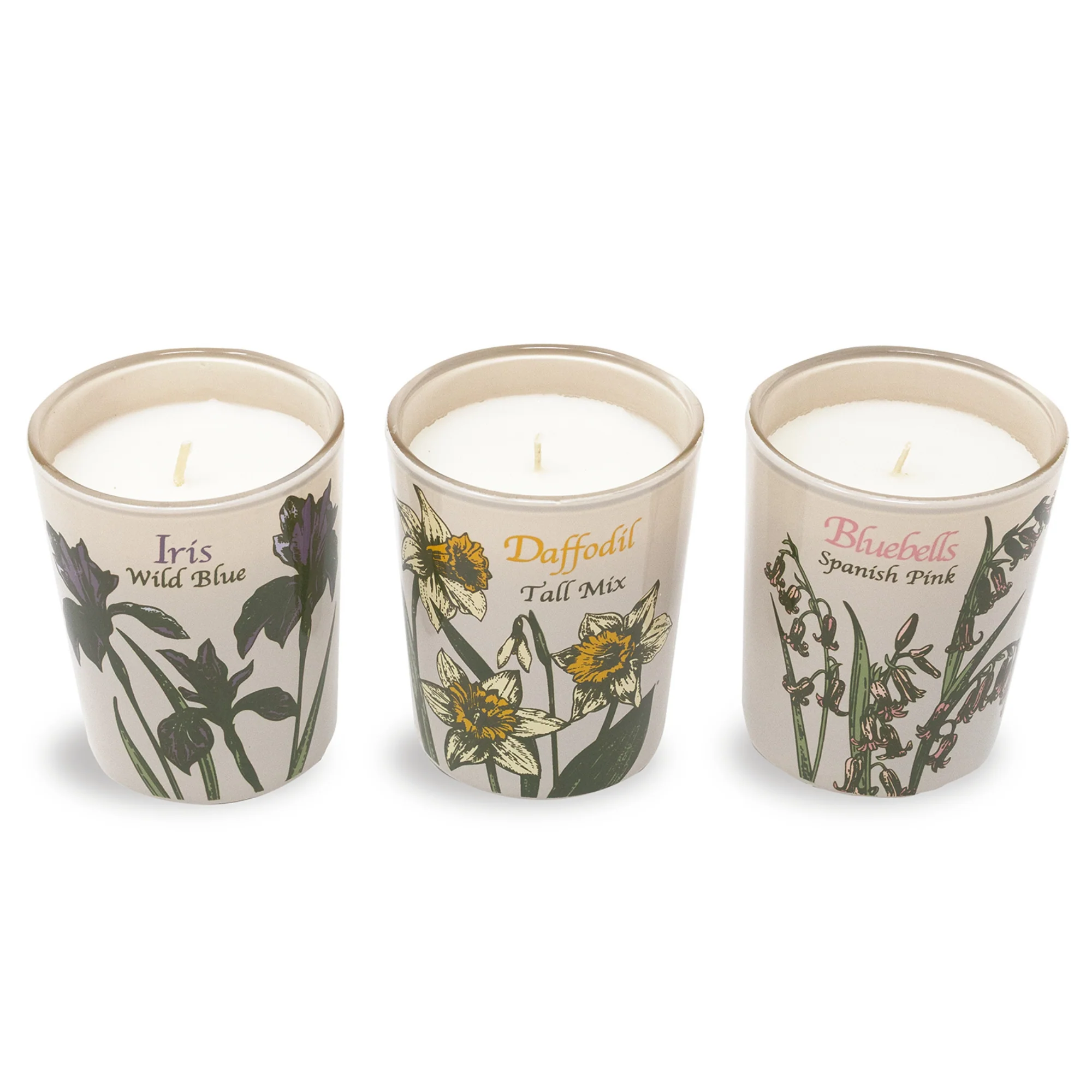 Votive Candle Set of 3, Almanac of Wildflowers (Courtyard Blooms Scent) - Image 5